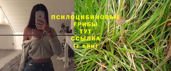 эйфоретик Арсеньев